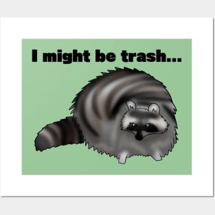 "I might be trash" Raccoon Meme Posters and Art